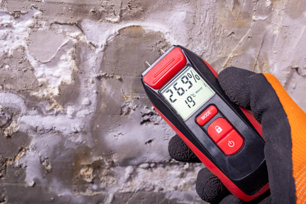 Best Crawl Space Mold Removal  in West Pittston, PA