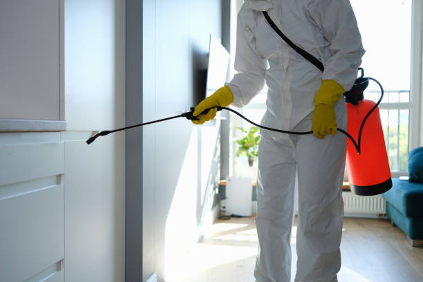 Mold Testing and Removal in West Pittston, PA