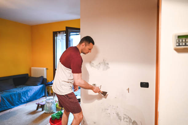 Best Commercial Mold Removal  in West Pittston, PA